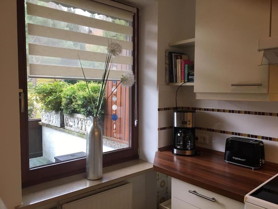 Wohnung Direkt Am Tegernsee Mit Xl-Terrasse Гмунд-ам-Тегернзе Экстерьер фото